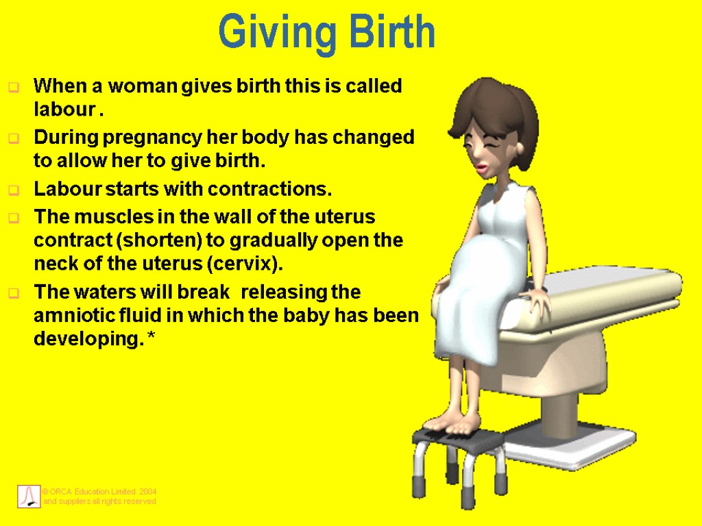 Giving Birth When a woman gives birth this is called labour . During pregnancy